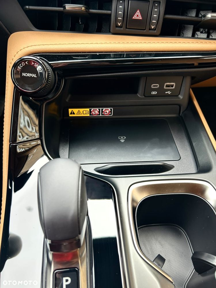 Lexus NX - 19