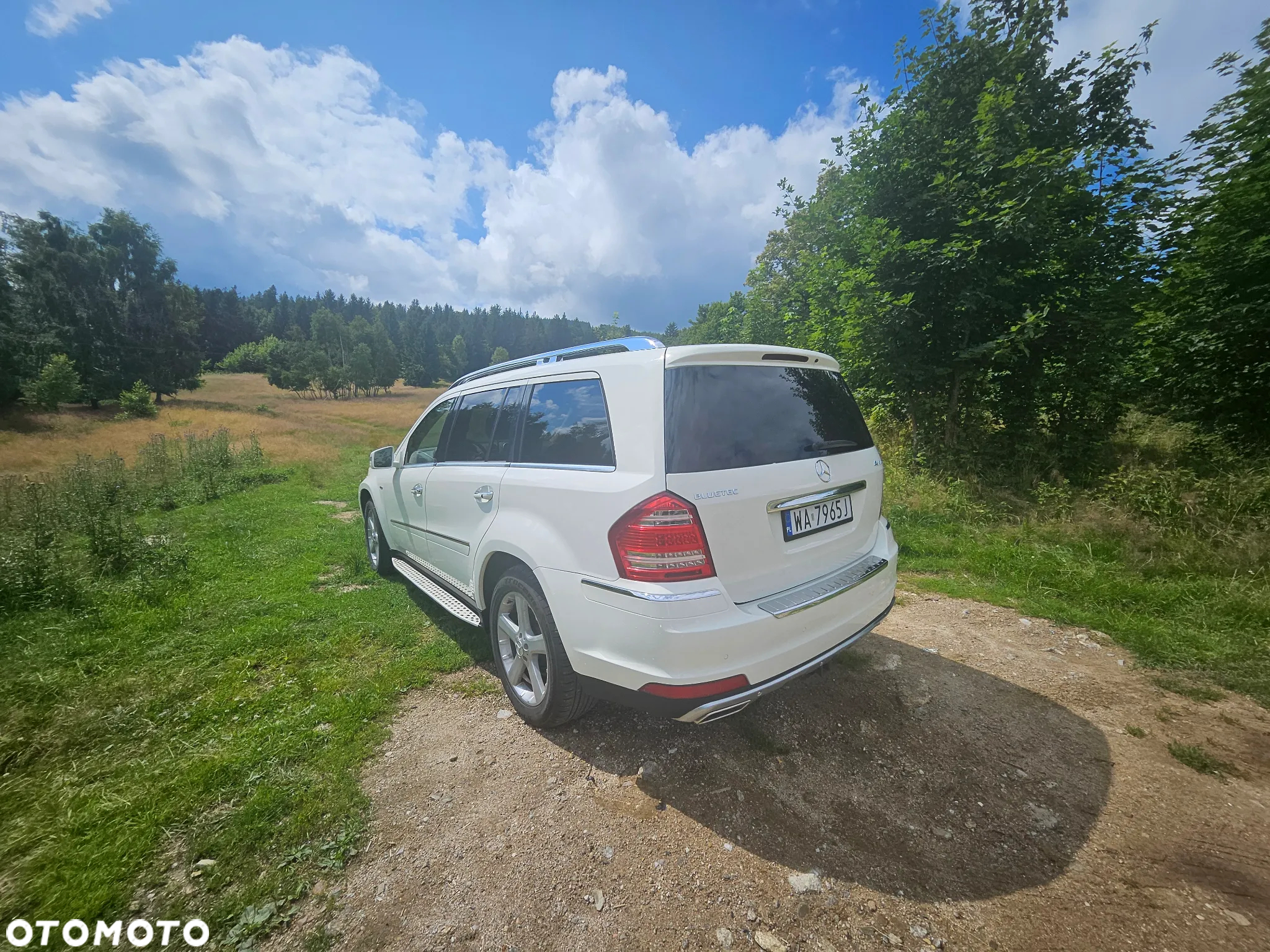 Mercedes-Benz GL 350 BlueTEC 4Matic 7G-TRONIC - 11