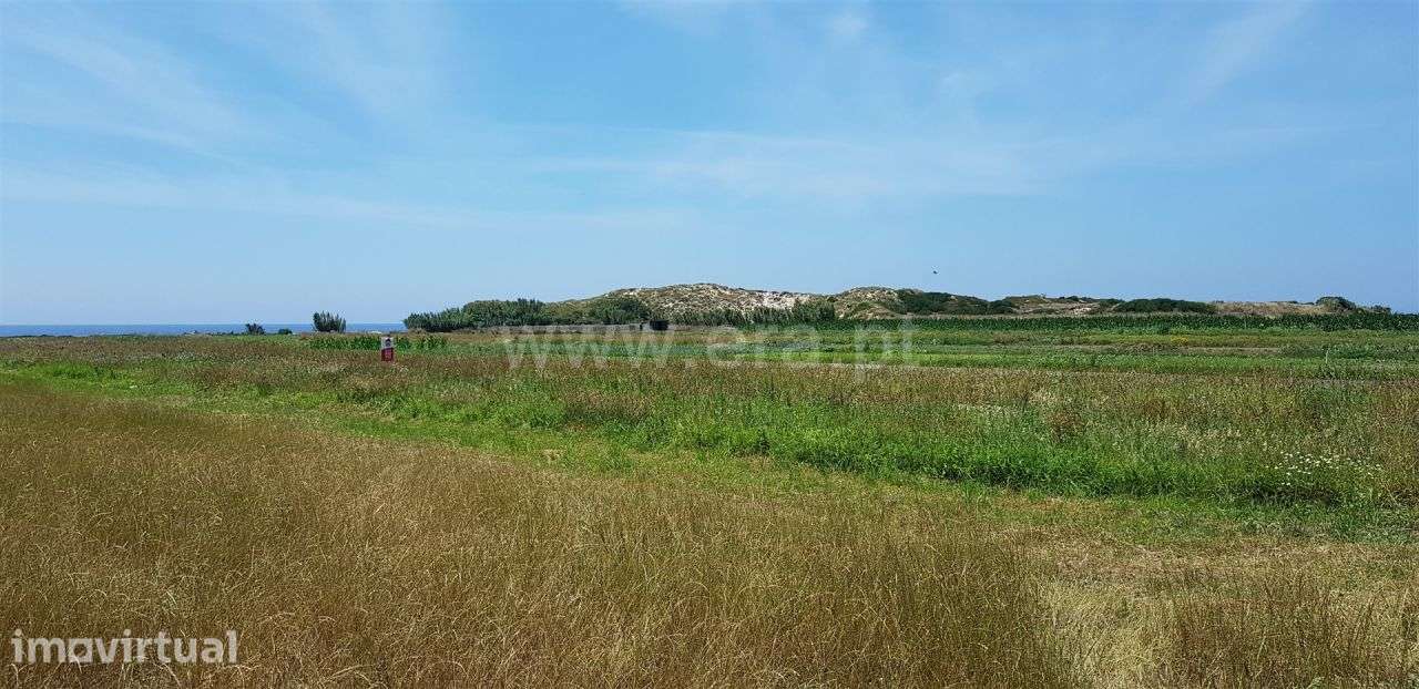 Terreno agricola junto ao Mar, Esposende - Grande imagem: 2/8