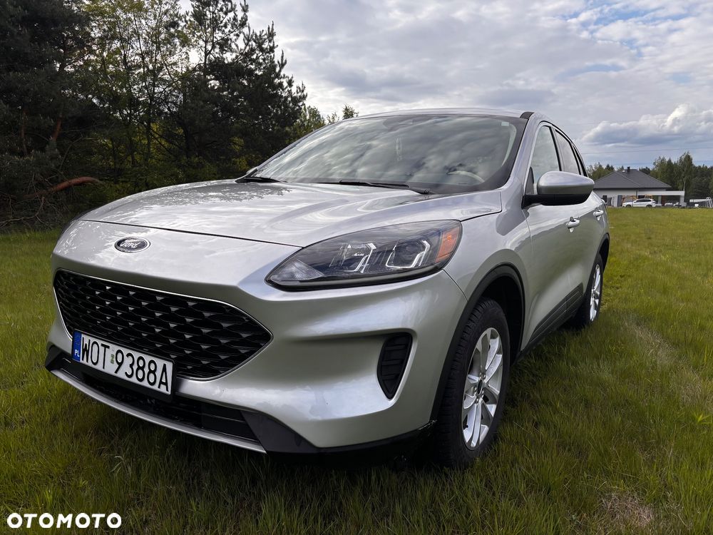 Ford Escape - 1