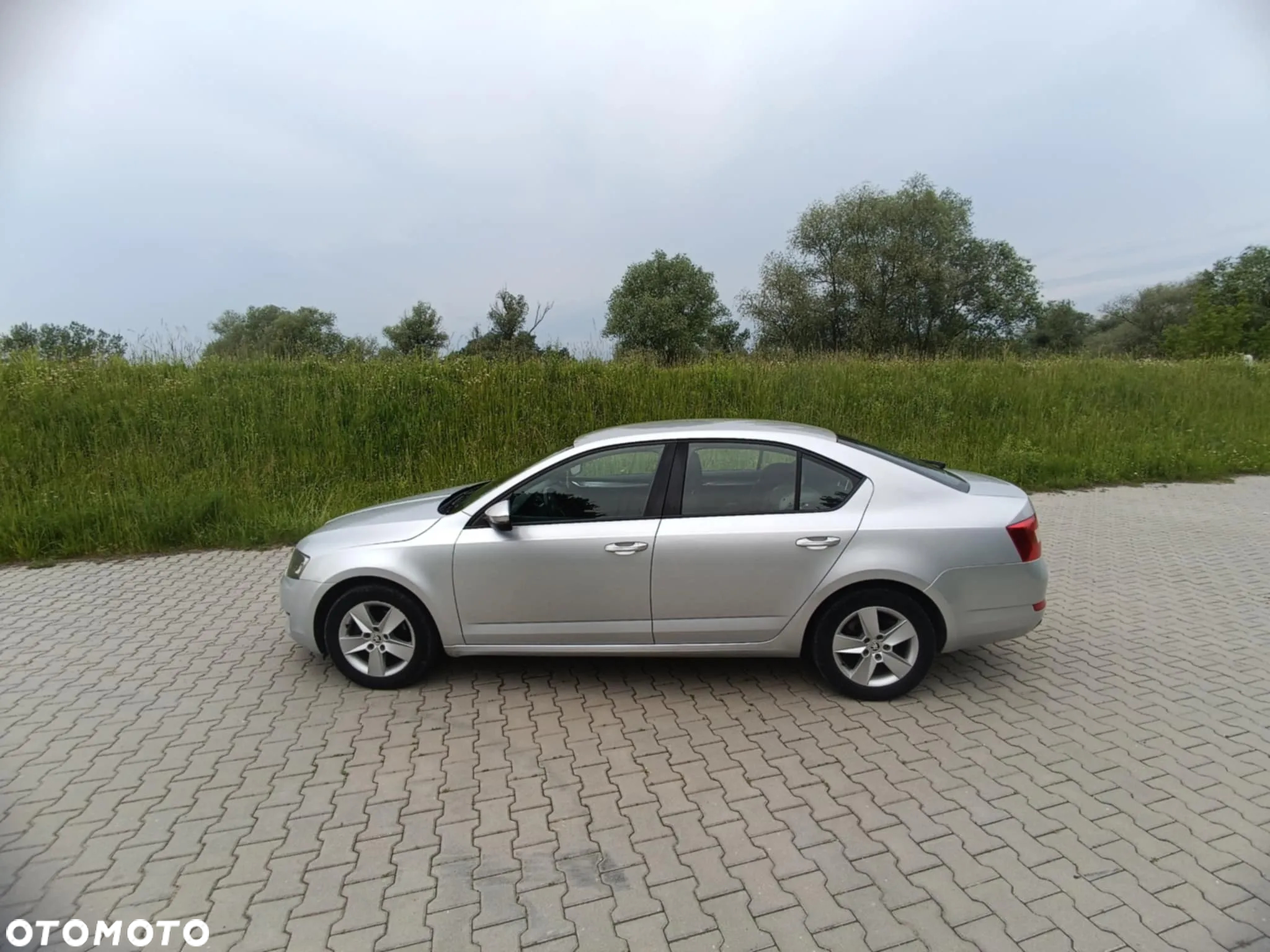Skoda Octavia 1.6 TDI Ambition - 4