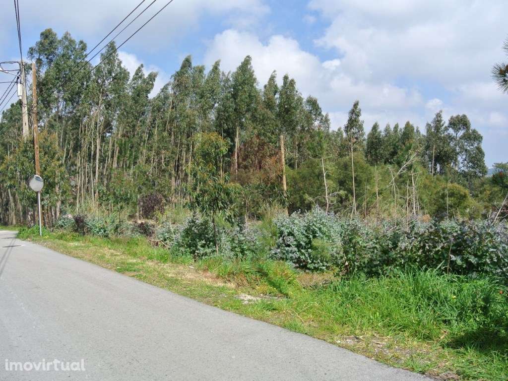 Terreno para construção no Nadadouro - Grande imagem: 4/15