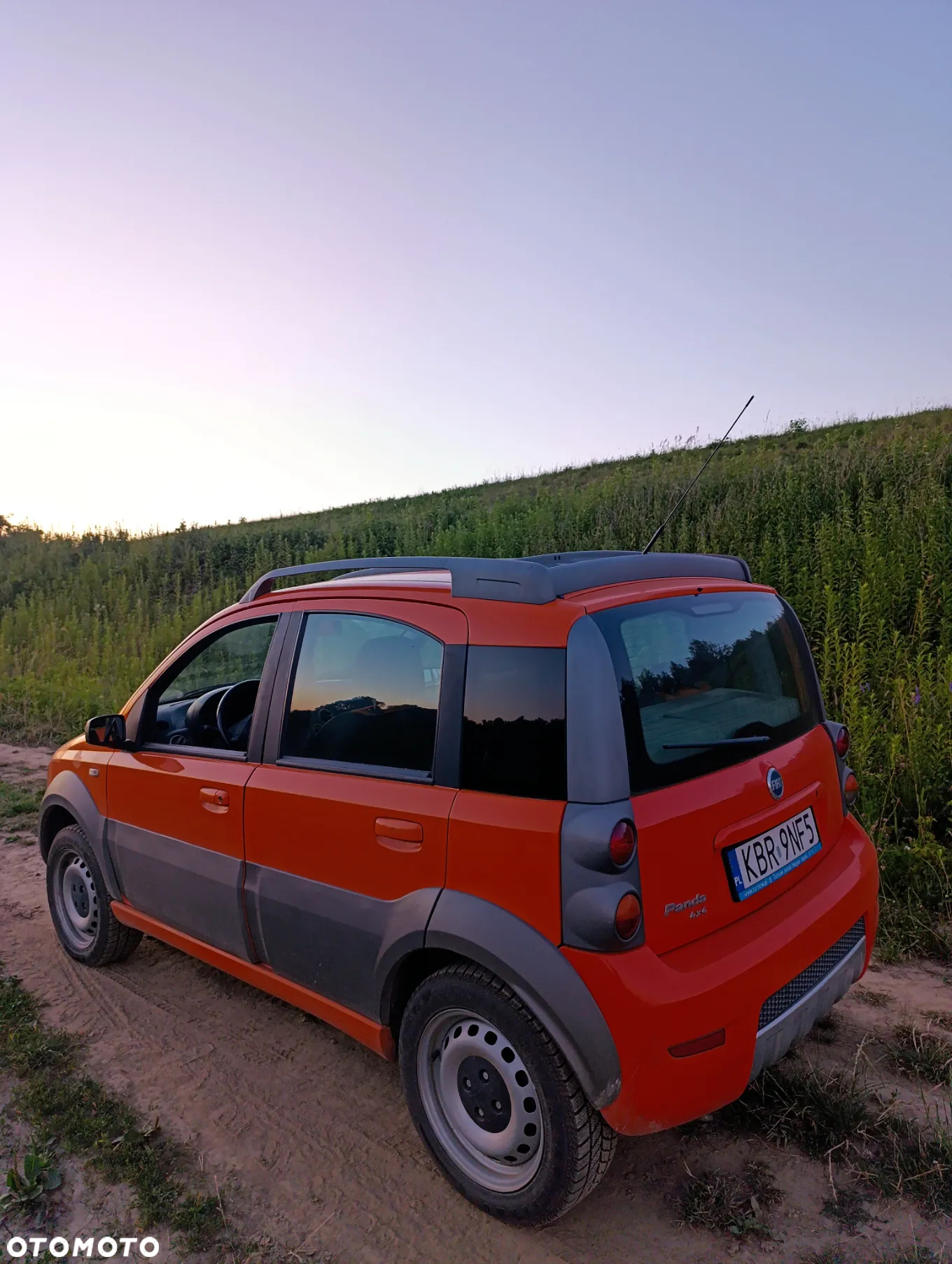 Fiat Panda 1.3 4x4 Multijet Diesel Cross - 5
