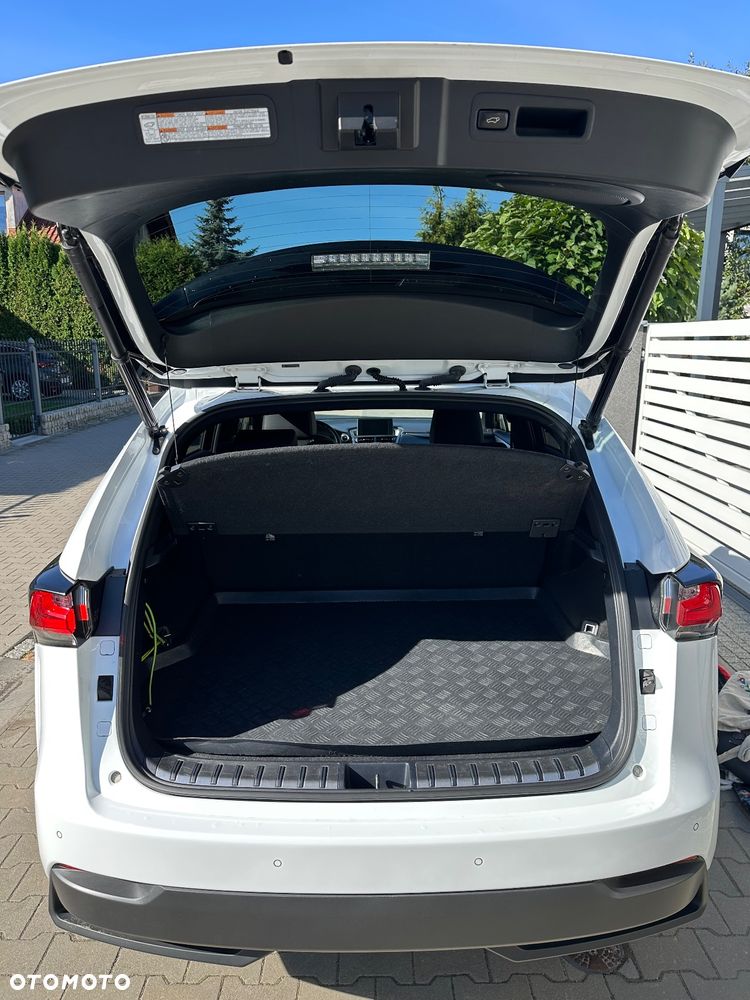 Lexus NX 300h F Sport Edition AWD - 18
