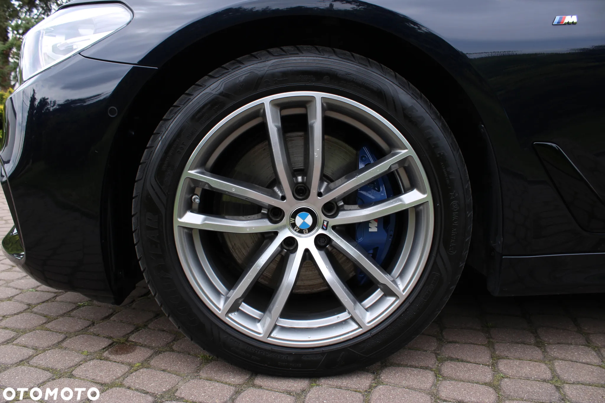 BMW Seria 5 530d xDrive M Sport sport - 12