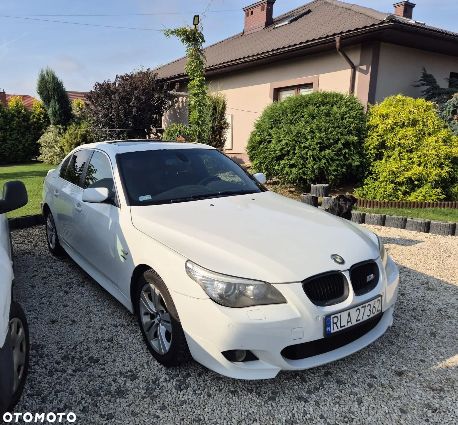 BMW Seria 5 - 1