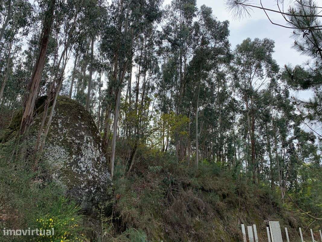 Terrenos á venda - Grande imagem: 3/21