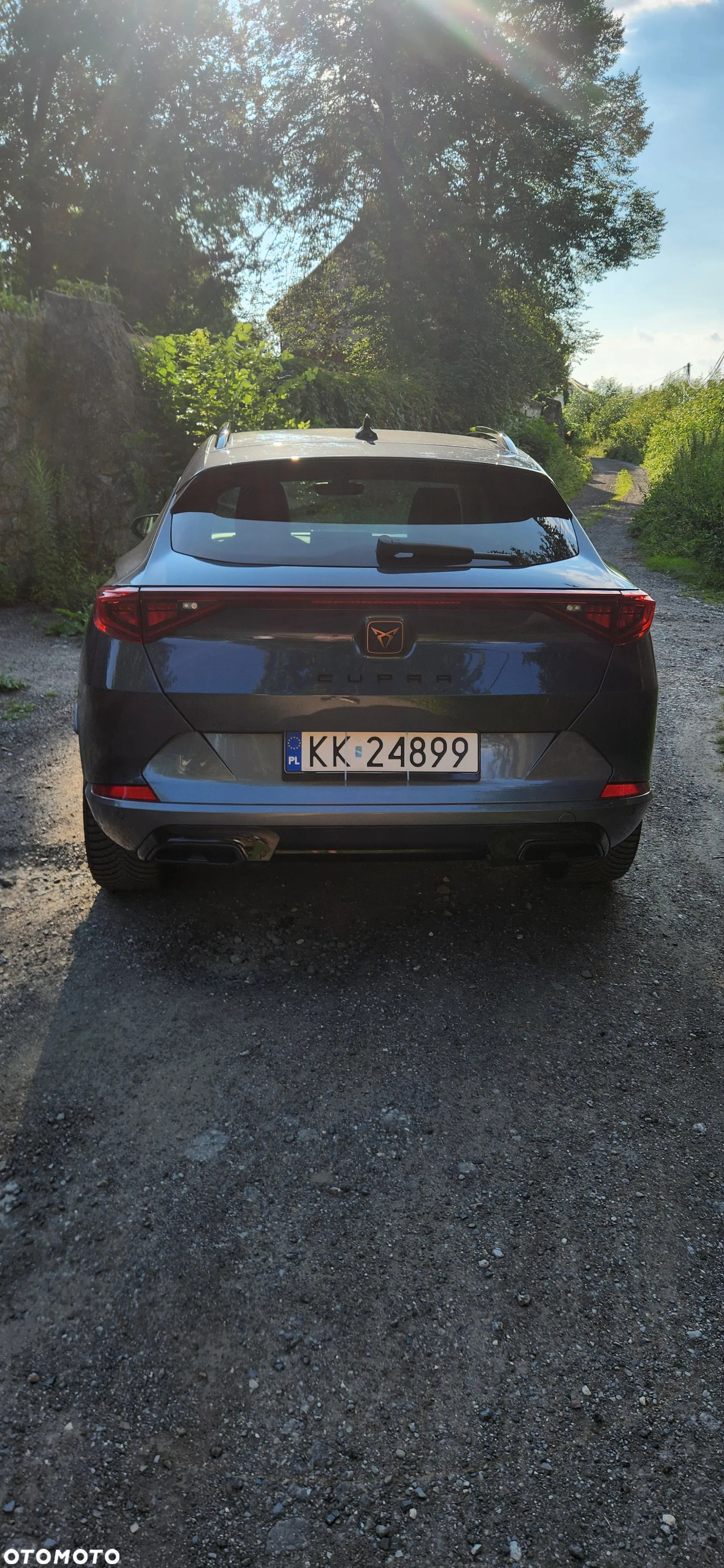 Cupra Formentor 2.0 TDI 4Drive DSG - 5
