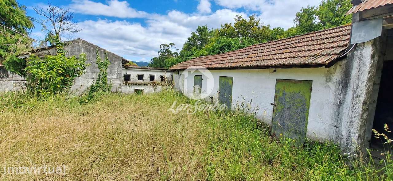 Quinta no Minho com 16.000 m² - Grande imagem: 5/24