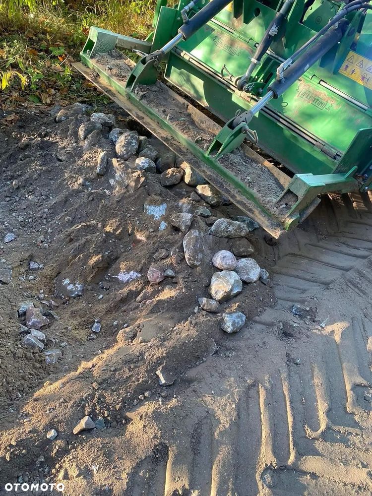 Hen Valentini Rambo - 3