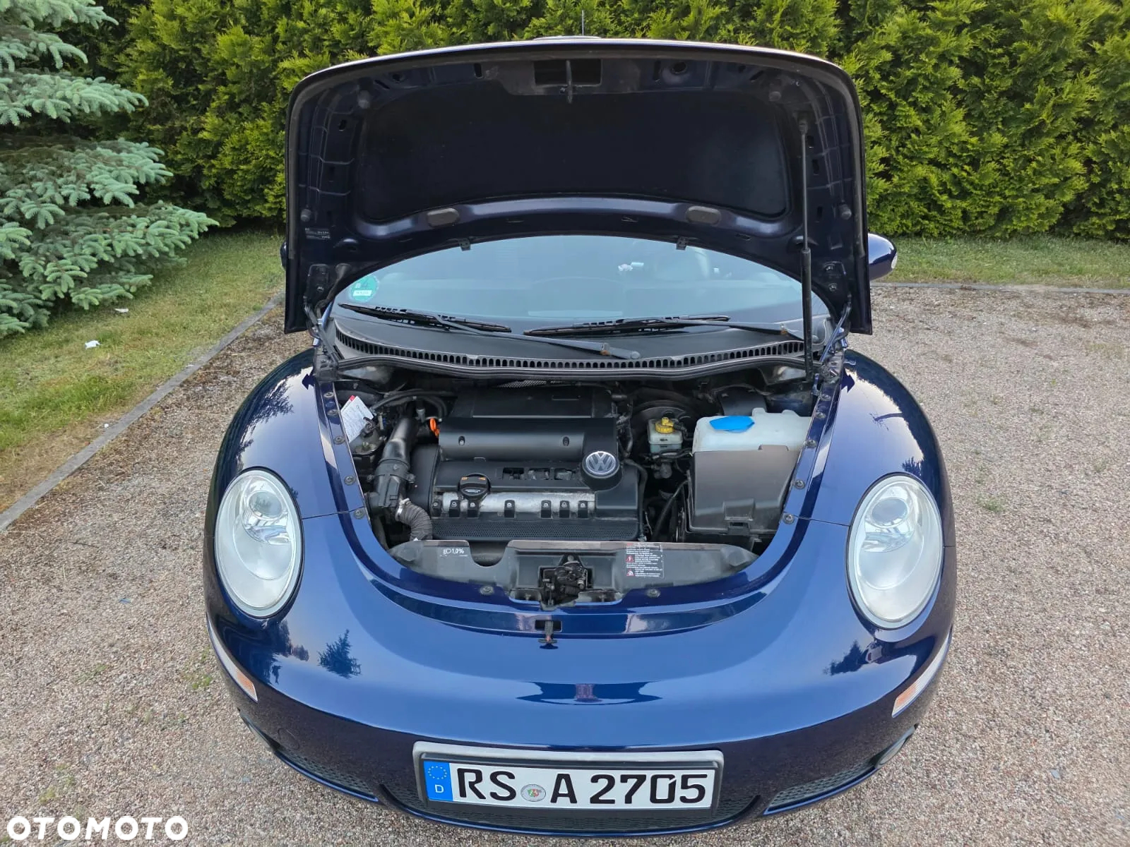 Volkswagen New Beetle 1.4 United - 19