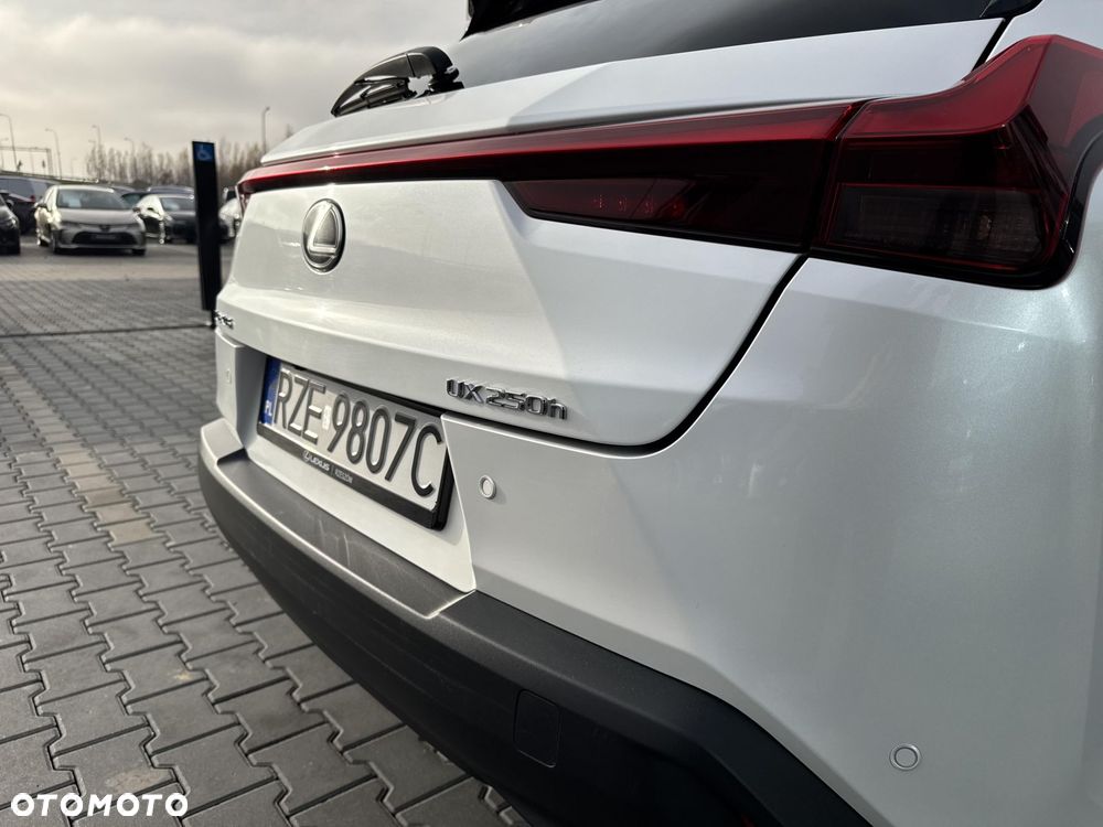 Lexus UX 250h GPF Business 2WD - 28