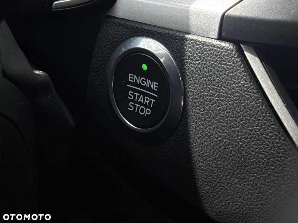 Ford Focus - 26
