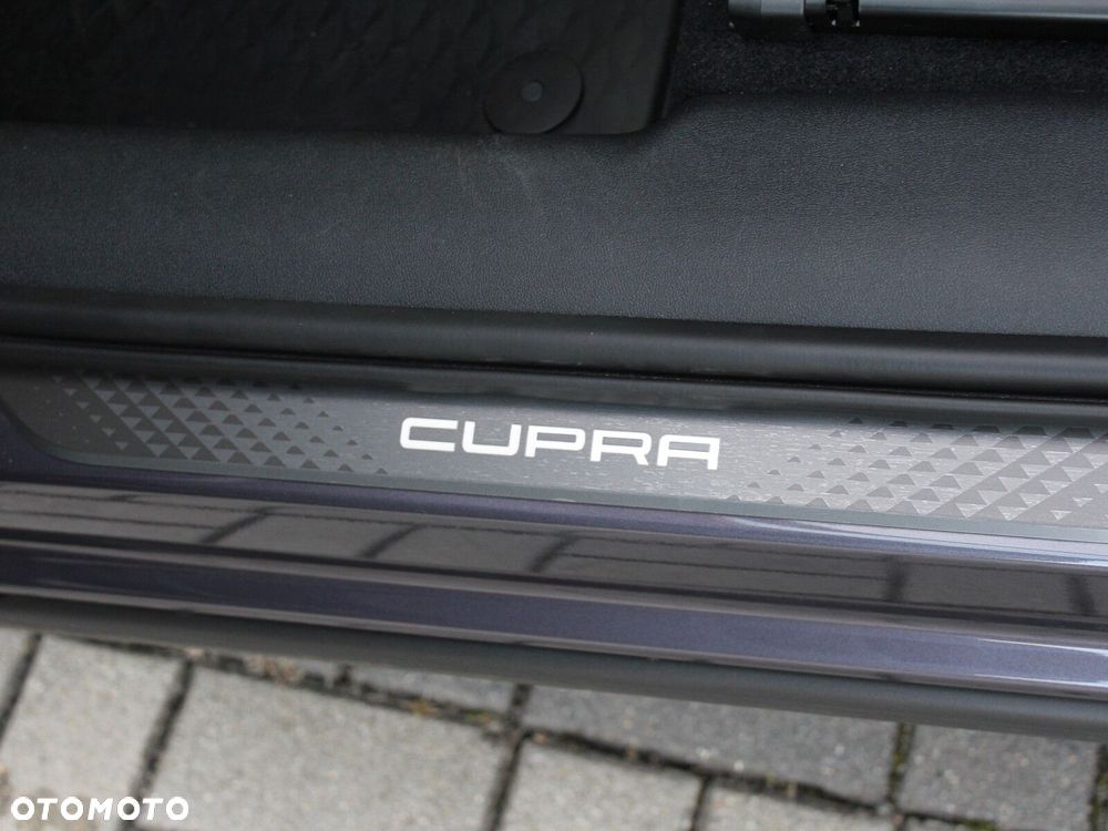 Cupra Terramar - 39