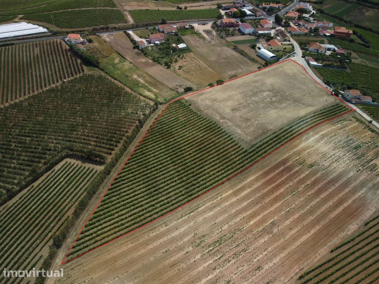 OPORTUNIDADE | TERRENO DE 15.080 M² | FREIRIA | TORRES VEDRAS - Grande imagem: 5/14