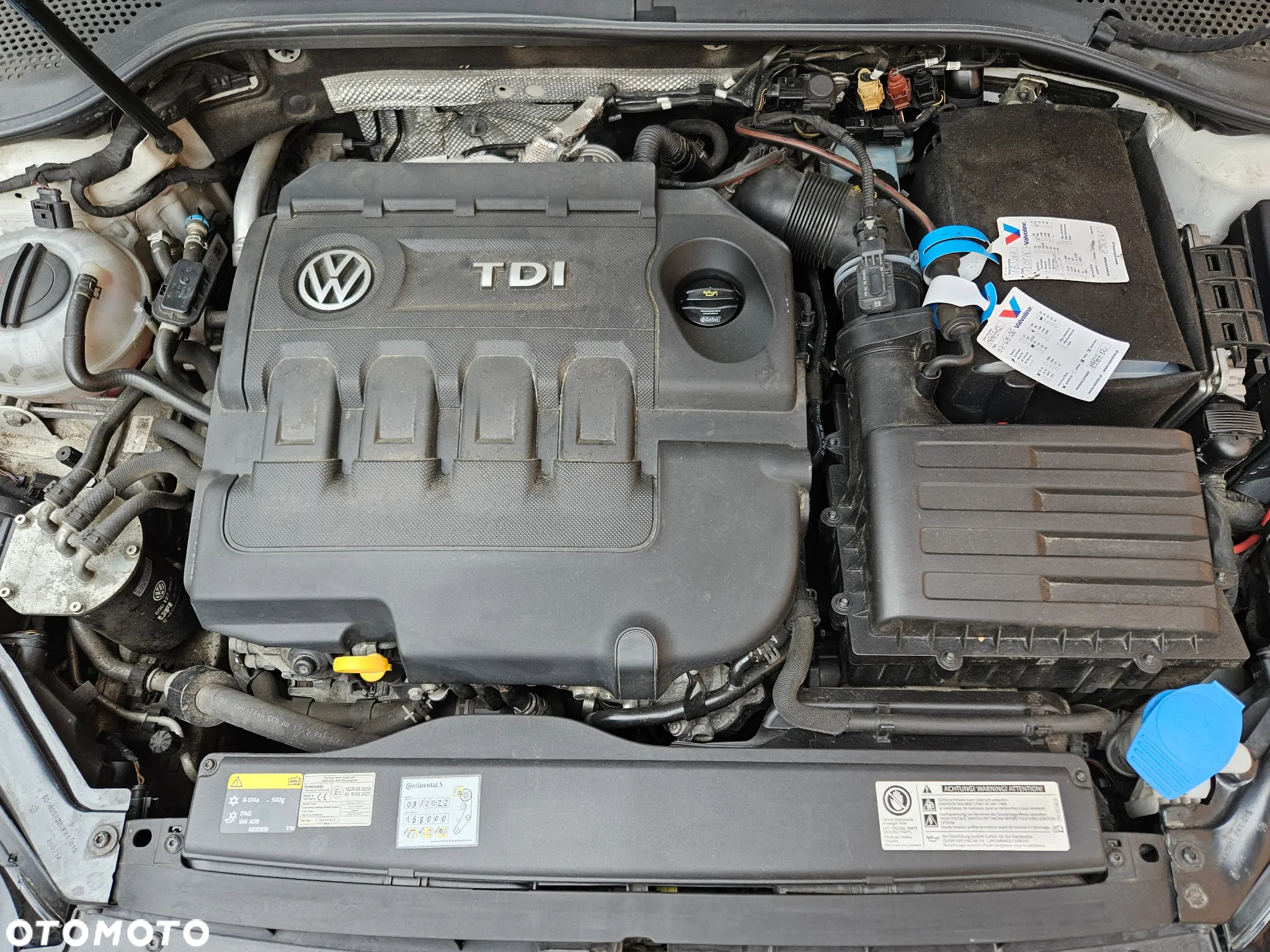 Volkswagen Golf - 7
