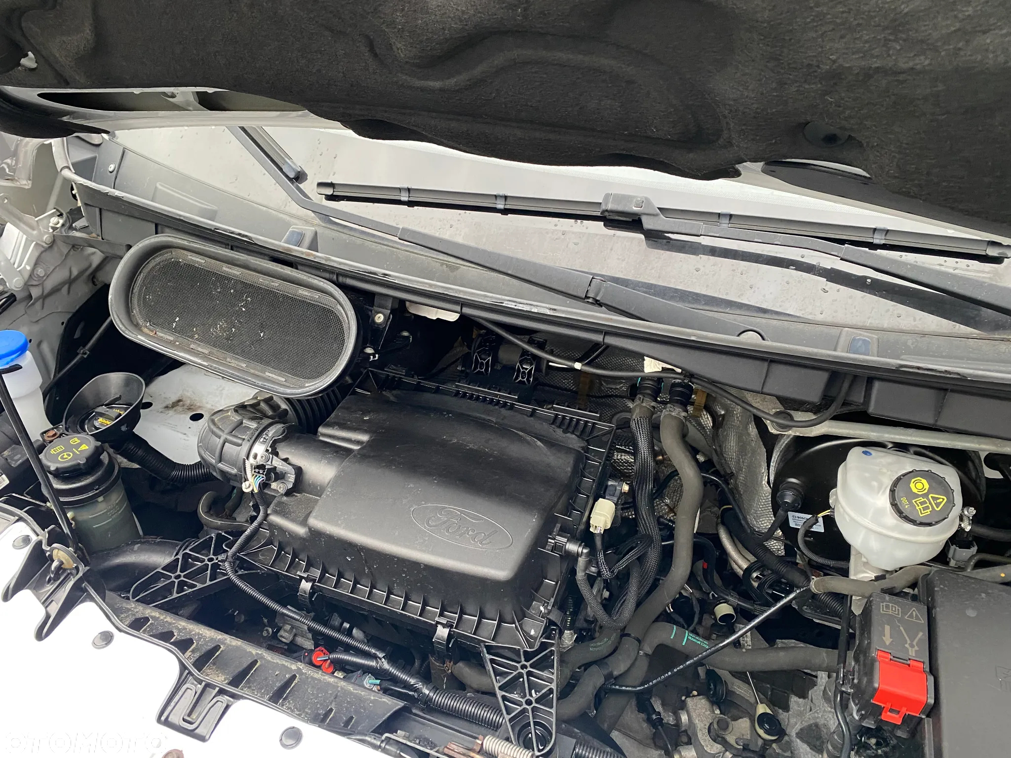 Ford TRANSIT - 14