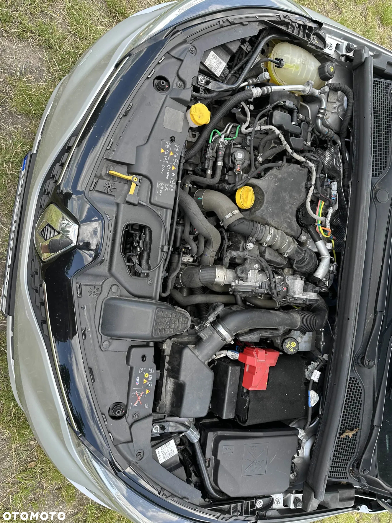 Renault Clio - 12