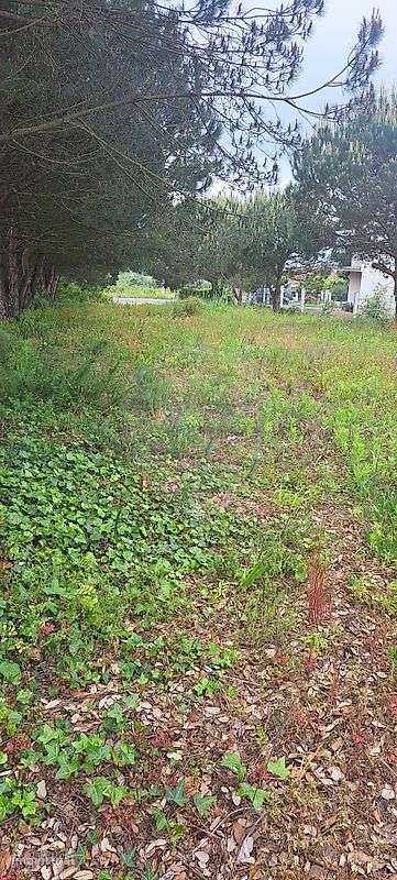 Terreno  para venda - Grande imagem: 3/5