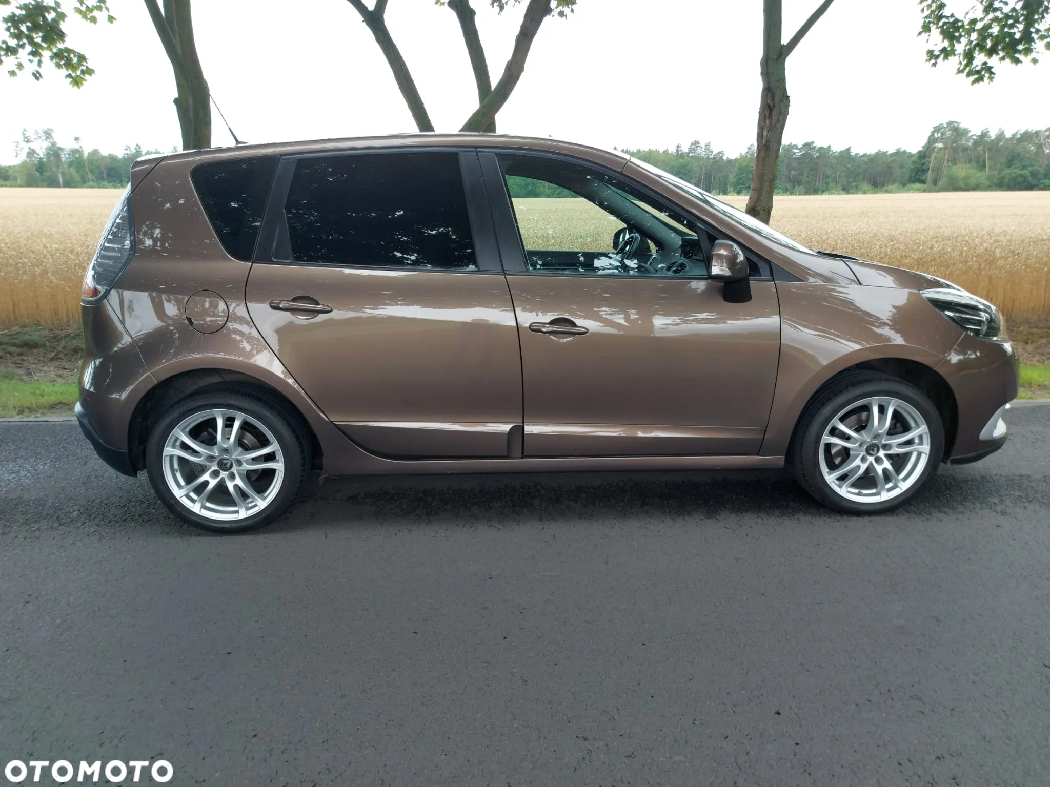 Renault Scenic ENERGY TCe 115 S&S LIMITED - 28
