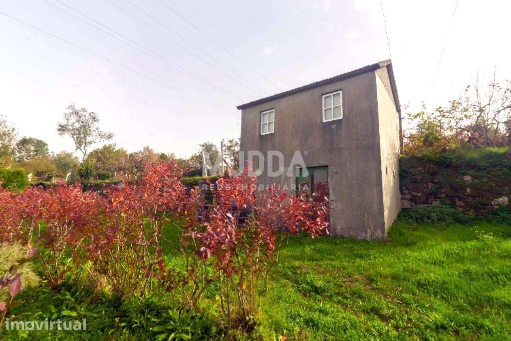 Magnífica Casa Senhorial em Cinfães- Viseu - Grande imagem: 4/21