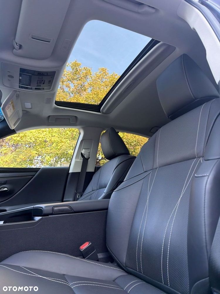 Lexus ES 300h Omotenashi - 13