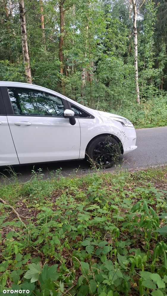 Ford B-MAX 1.0 EcoBoost Trend EU6 - 16
