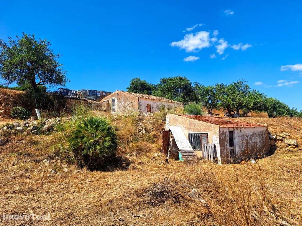 Terreno Misto com 3.680ha e capacidade de construir até 2.000m2, co... - Grande imagem: 3/16