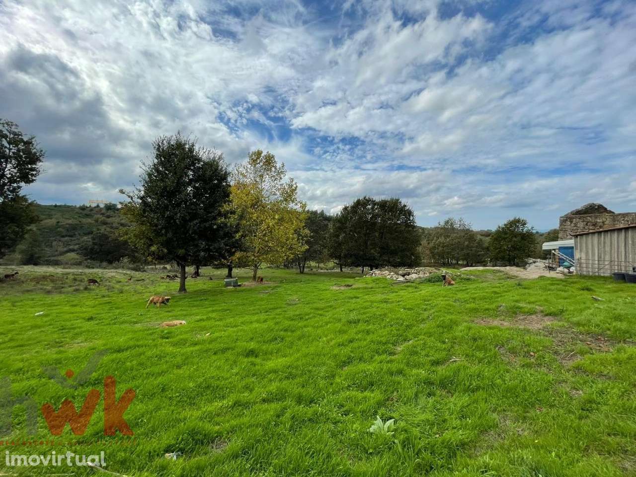 Quinta com 5.4 hectares | Ruína e Açude - Grande imagem: 4/20