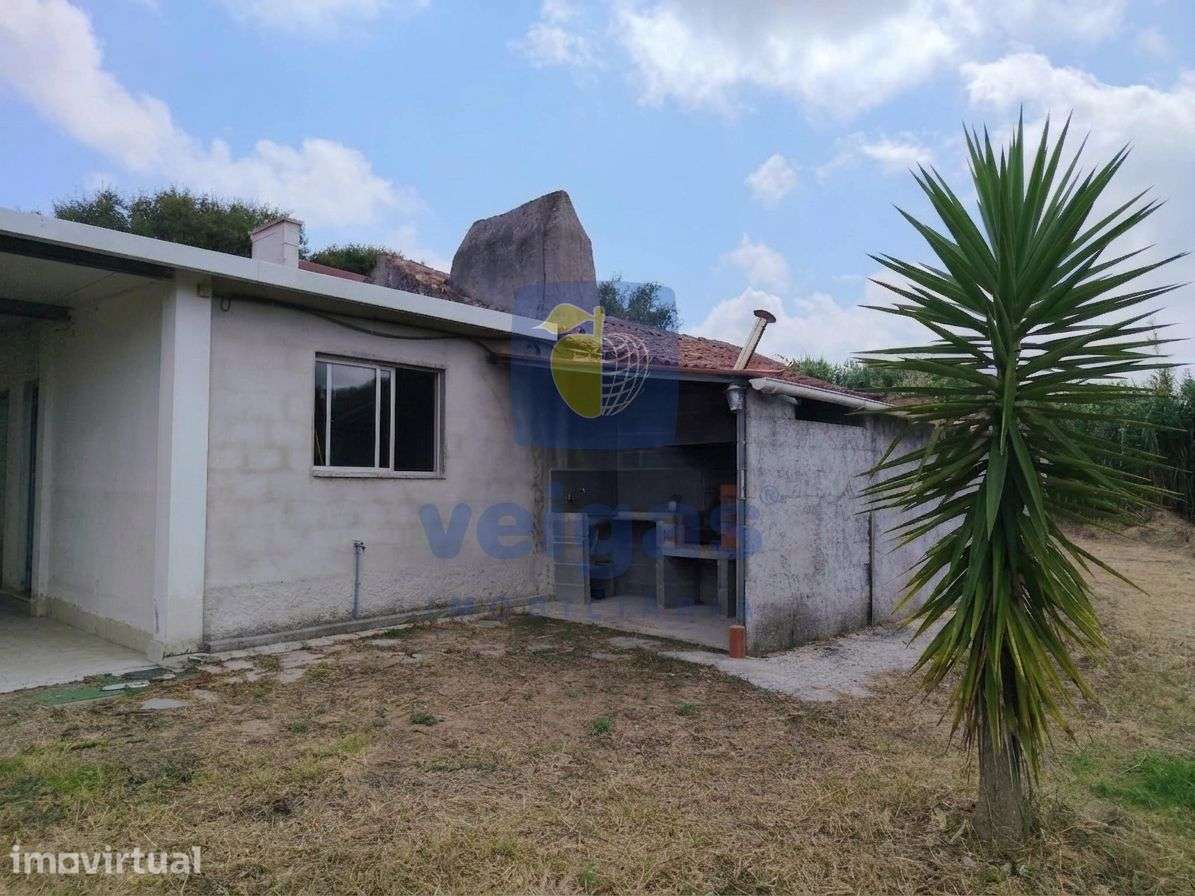 Quinta T3+1 com Vinha, Pomares e Lagar – Gracieira, Óbidos - Grande imagem: 3/27