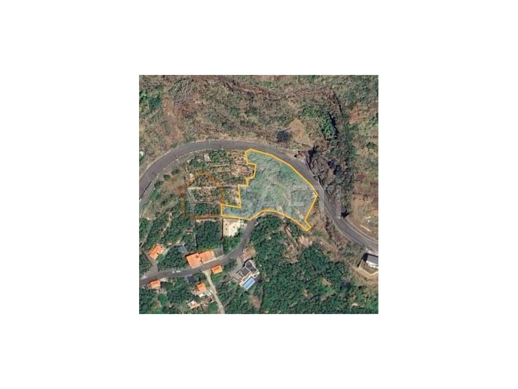 Terreno en venda com Vista Mar na Fajã do Arco da Calheta - Grande imagem: 3/3