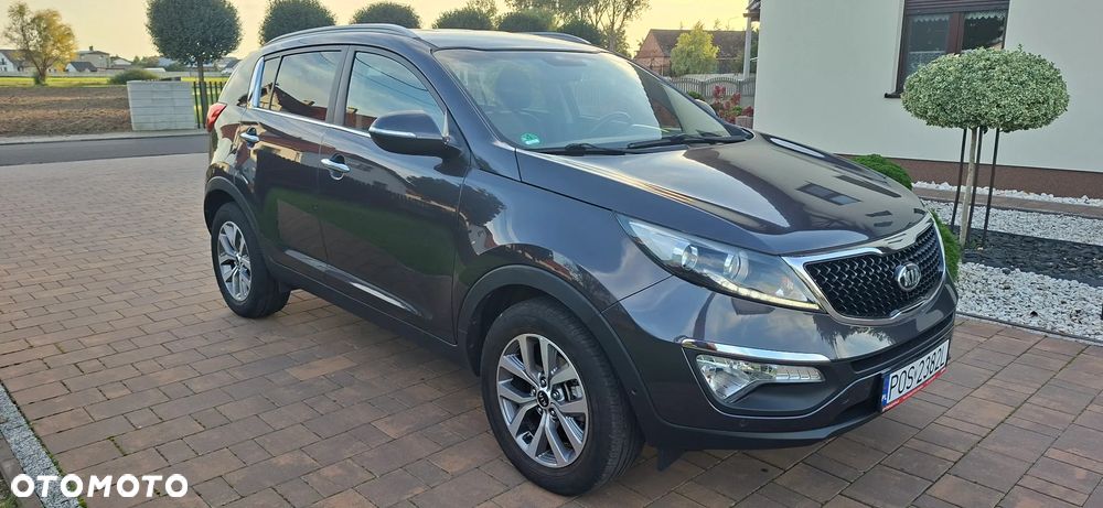 Kia Sportage - 13