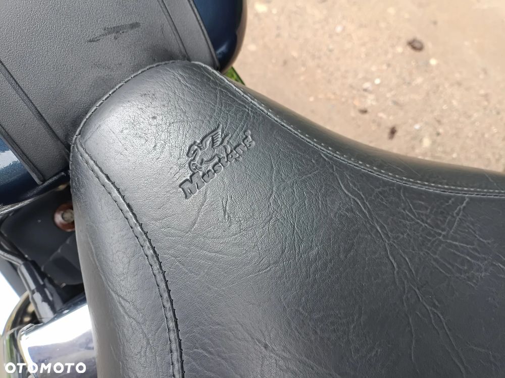 Harley-Davidson Inny - 7