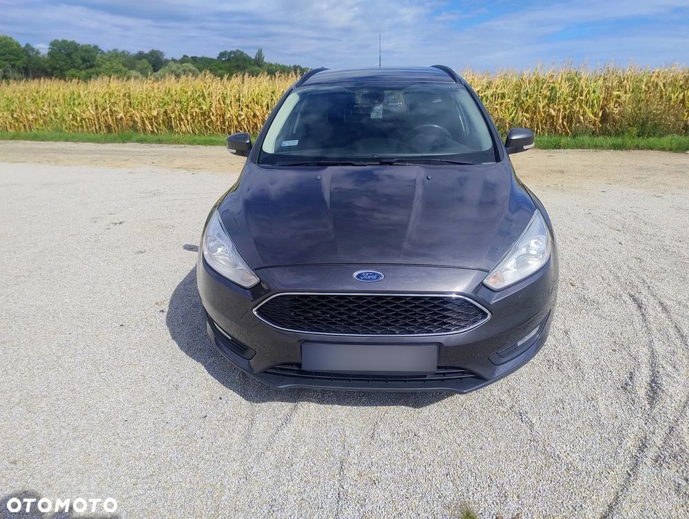 Ford Focus - 19