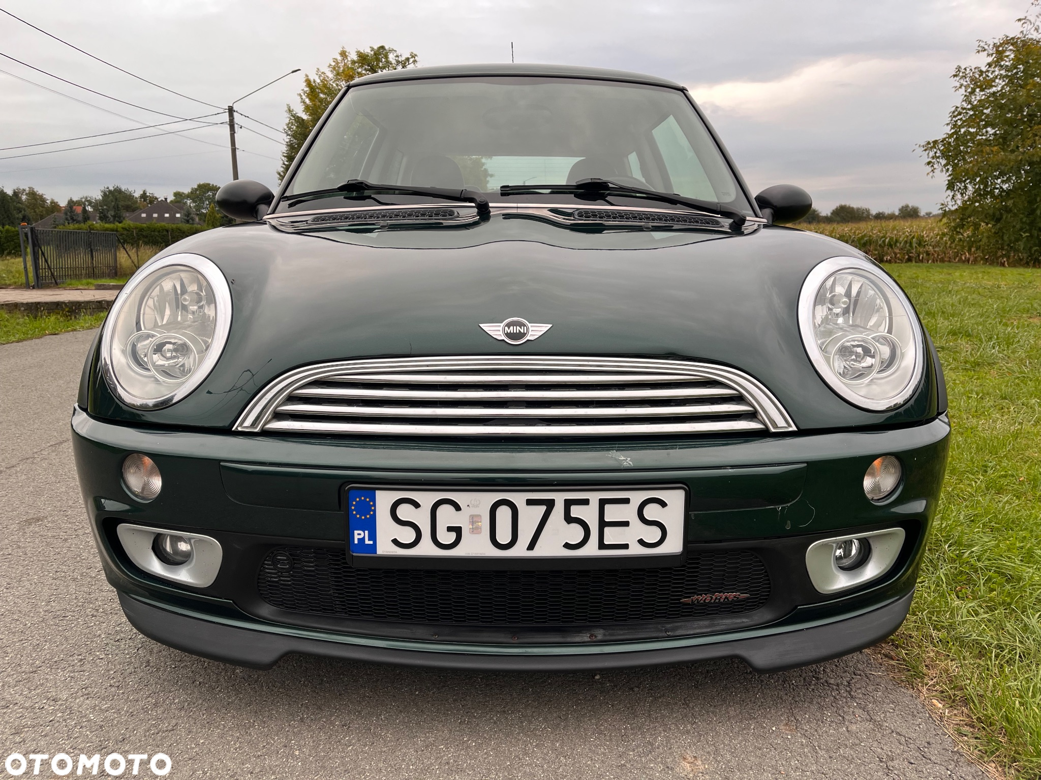 MINI ONE salt - 7