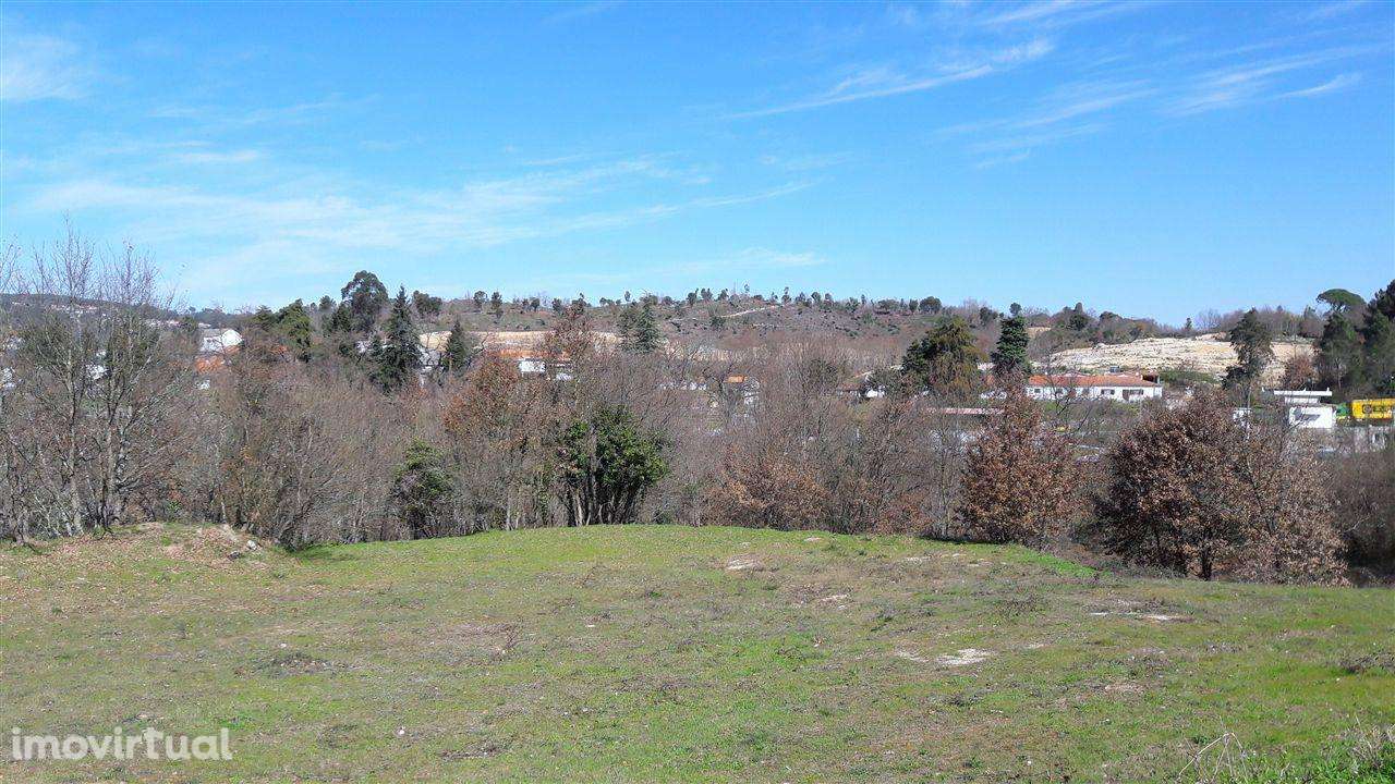 Fantástica Quinta Junto a Ribeira - Grande imagem: 4/13