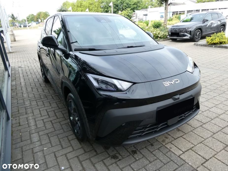 BYD Dolphin Surf - 5