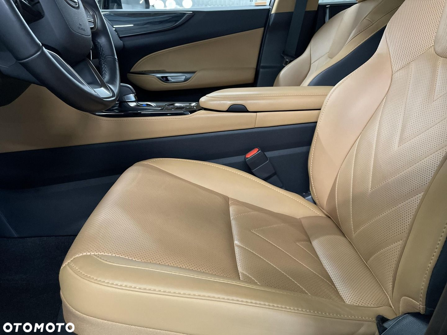 Lexus NX - 10
