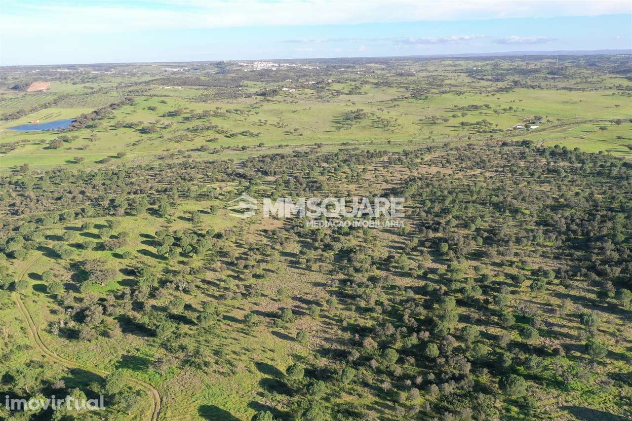 Herdade em Ourique - Grande imagem: 5/55