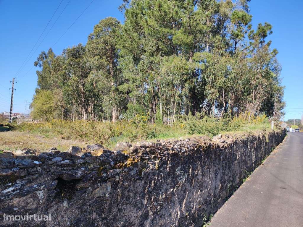 Terreno Urbano com 7500m2 em Souto, Santa Maria da Feira - Grande imagem: 2/5