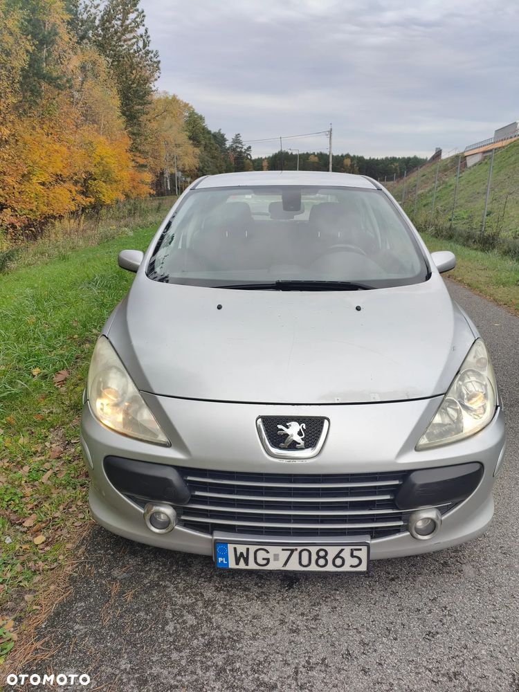 Peugeot 307 2006 photo 2