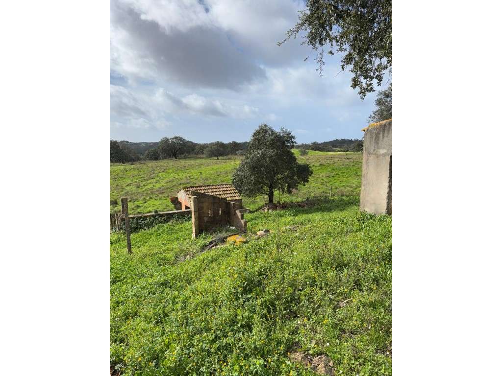 Terreno com Ampliação de Ruína em Melides - Grande imagem: 4/8
