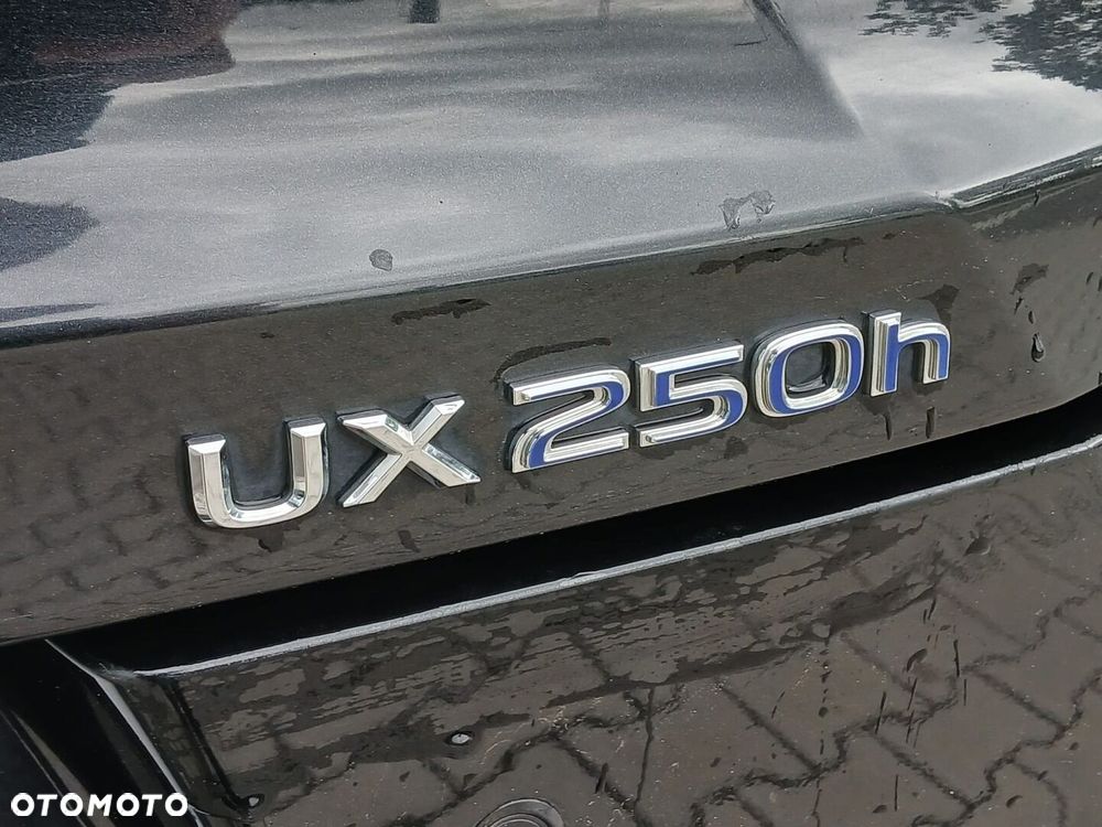 Lexus UX 250h GPF Business Edition 2WD - 40
