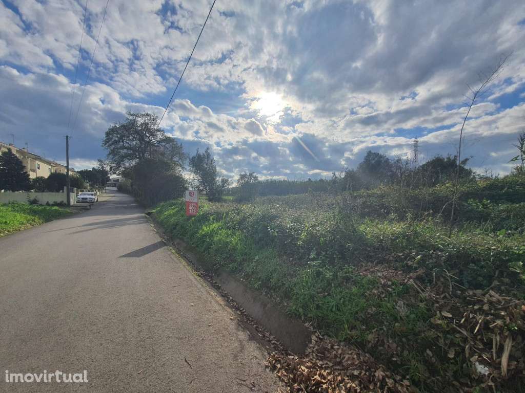 Terreno para Construção, São Martinho do Bispo - Grande imagem: 3/3