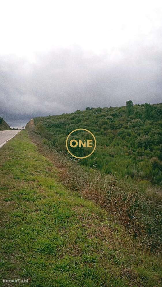 Terreno Rústico - Grande imagem: 5/7