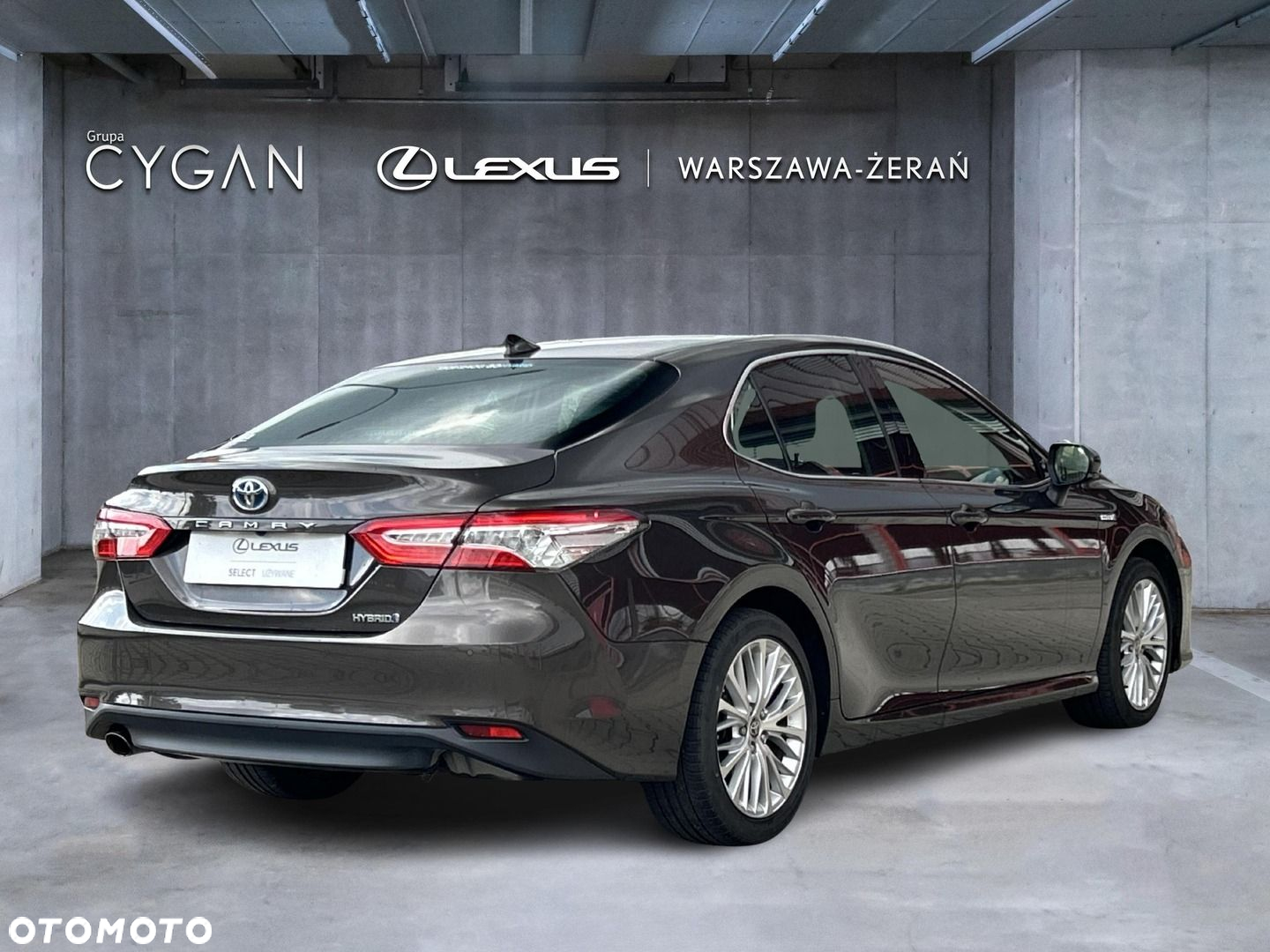 Toyota Camry - 7