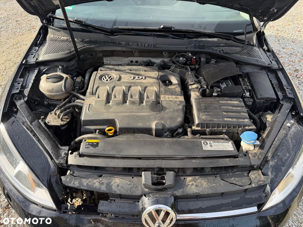 Volkswagen Golf - 12