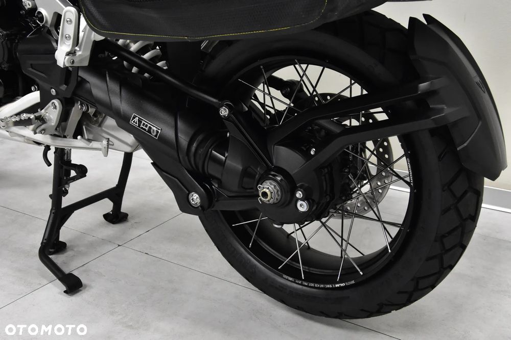 Triumph Tiger - 37