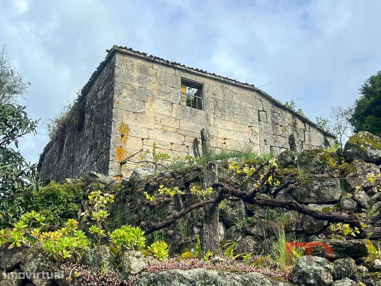 Moradia Rústica T3 Venda em Cambra e Carvalhal de Vermilhas,Vouzela - Grande imagem: 4/26