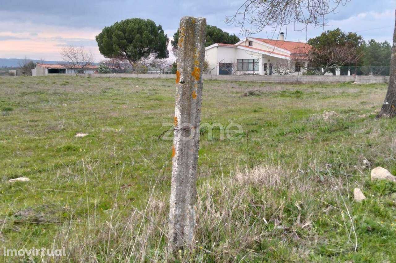 Terreno Rústico em Cortiçô da Serra - Grande imagem: 3/12